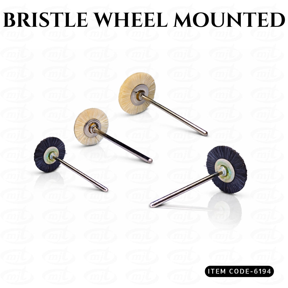 BRISTLE WHEEL MOUNTED